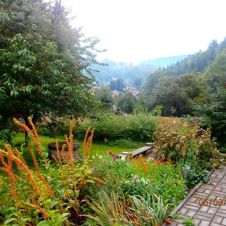 Apartman Aya Janov nad Nisou Bagian luar foto