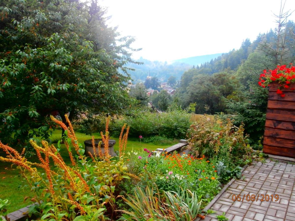 Apartman Aya Janov nad Nisou Bagian luar foto