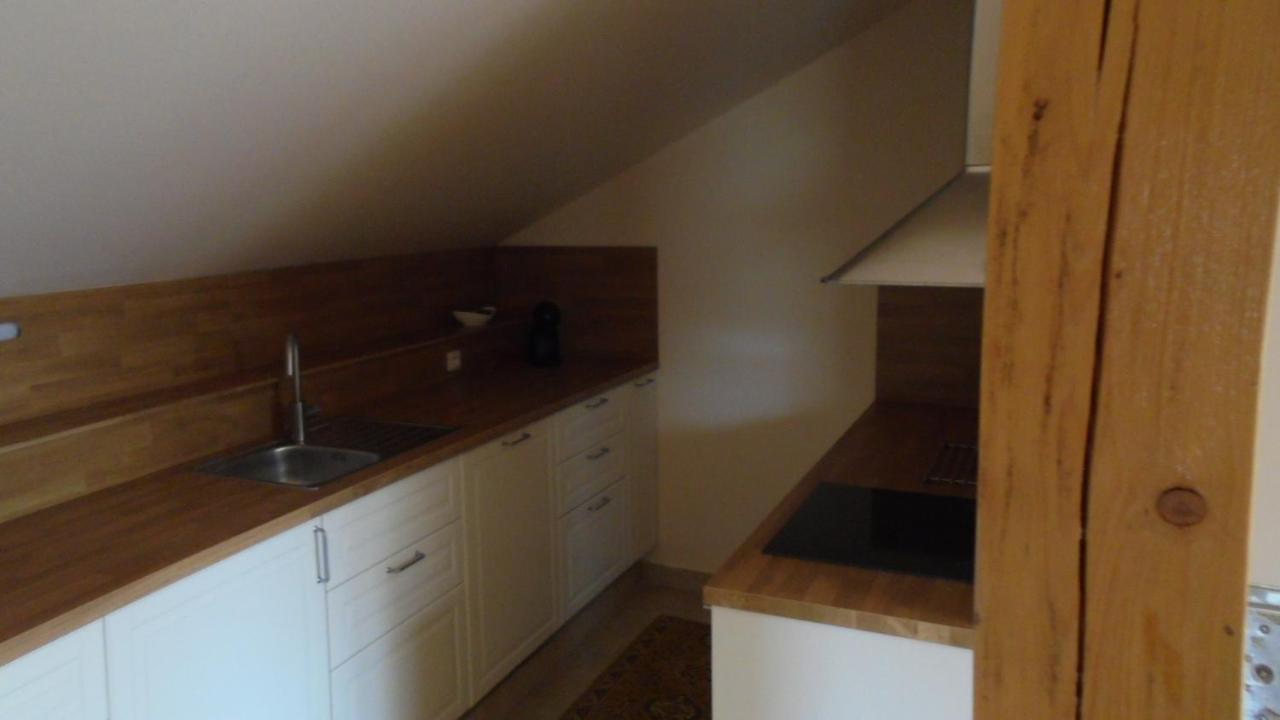 Apartman Aya Janov nad Nisou Bagian luar foto