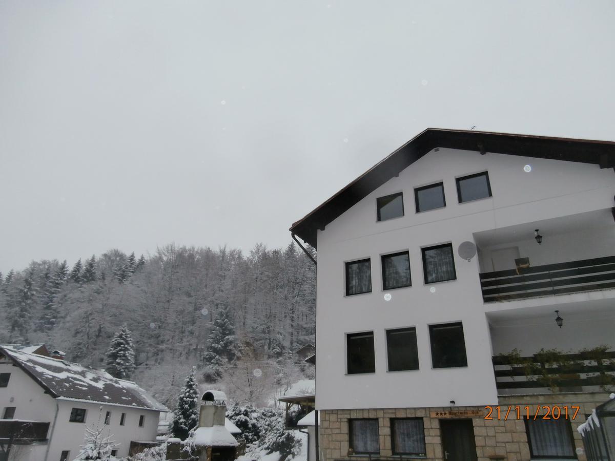 Apartman Aya Janov nad Nisou Bagian luar foto
