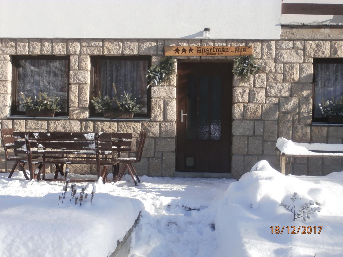 Apartman Aya Janov nad Nisou Bagian luar foto